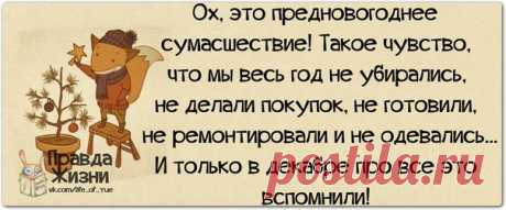 Вероятность того, что за вами кто-то наблюдает, прямо пропорциональна глупости совершаемых вами действий...