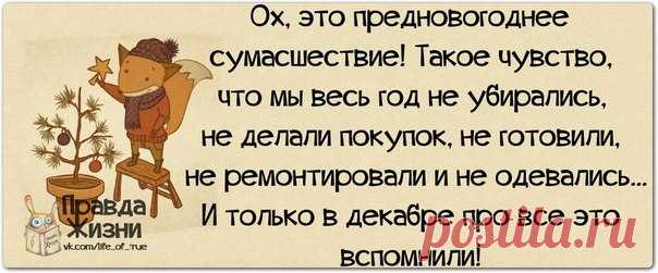 Вероятность того, что за вами кто-то наблюдает, прямо пропорциональна глупости совершаемых вами действий...