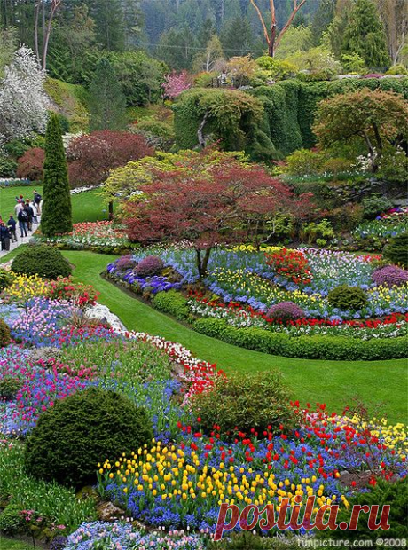 Butchart Gardens, Victoria, BC, Canada
flickr от Tim Yuan  |  Найдено на сайте flickr.com.
