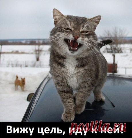 Как достичь любую цель: Весёлое руководство - rastimul.com.ua