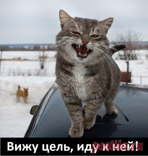 Как достичь любую цель: Весёлое руководство - rastimul.com.ua