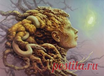 Tomasz Alen Kopera - Главная