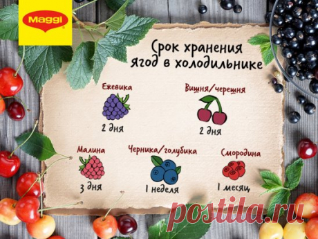 Свежие ягоды обязательно нужно хранить в холодильнике. Но даже при низкой температуре у каждой из них свой срок годности. Сохраните нашу шпаргалку, чтобы всегда получать максимум витаминов! :)