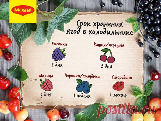 Свежие ягоды обязательно нужно хранить в холодильнике. Но даже при низкой температуре у каждой из них свой срок годности. Сохраните нашу шпаргалку, чтобы всегда получать максимум витаминов! :)