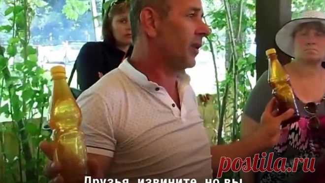 Я в шоке! Я реально не знал как отличить поддельный мед от настоящего!