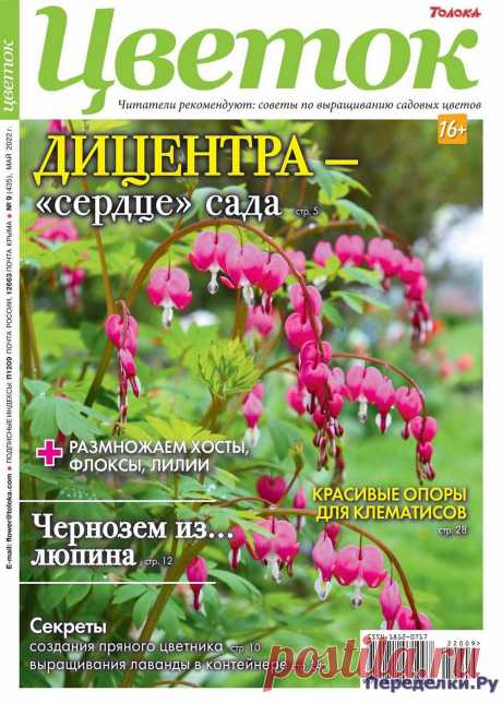 Цветок №9 2022 - Переделки.РуПеределки.Ру