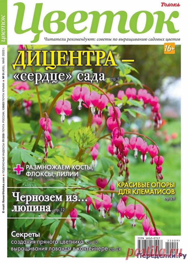 Цветок №9 2022 - Переделки.РуПеределки.Ру