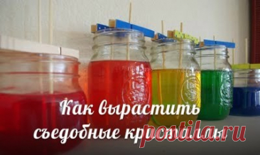 ​Как вырастить съедобные кристаллы