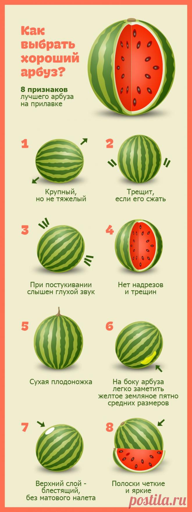 8 признаков вкусного и спелого арбуза! Ты узнаешь его из тысячи! Ценная информация, сохраняйте себе! | Узнал сам - расскажи другому.