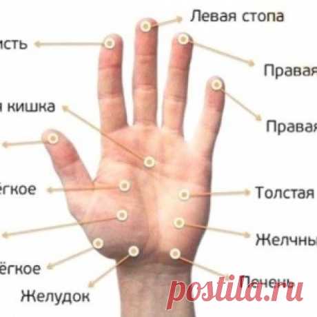 Он забрал «самого ненужного кота» в приюте. В первую же ночь Монти преподнес сюрприз… - МирТесен
