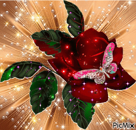 5212802_55c8a.gif (400×383)
