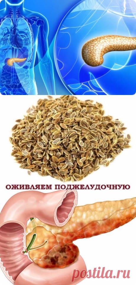 4 рецепта, которые помогут вам при заболевании поджелудочной железы - interesno.win