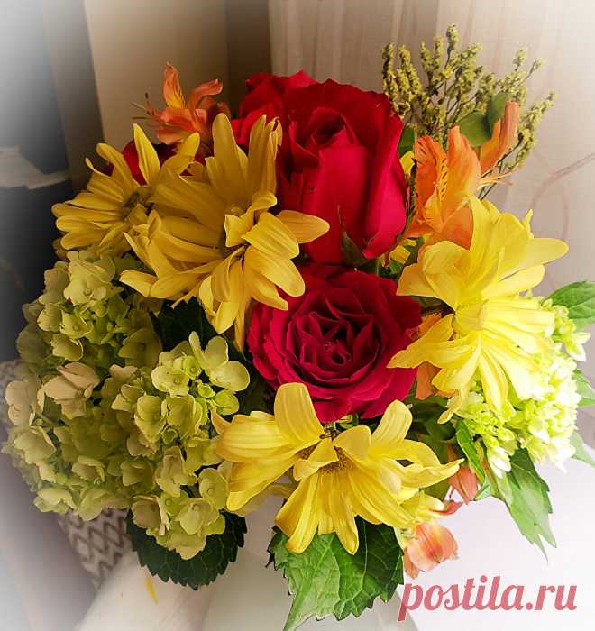 Вселенная хризантем | Калейдоскоп новостей | Яндекс Дзен