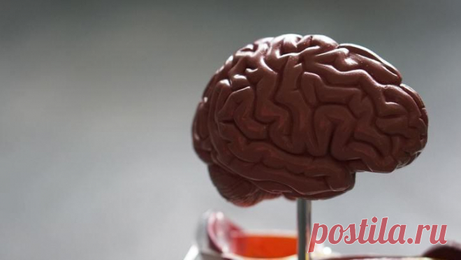 Тест на эрудицию, знания и уровень IQ