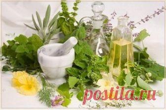 50 растений, очищающих организм от паразитов Беспорядочное, смешанное и сладкое питание — идеальная среда для размножения паразитов — от вирусов до глистов. В рацион питания нужно вводить большое количество зелени, овощей, пряных трав, обладающи…