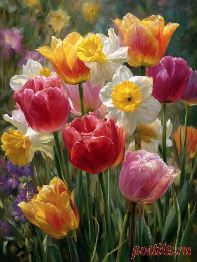 Изображение пина-истории