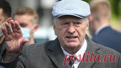 ЛДПР предложила учредить стипендию имени Владимира Жириновского