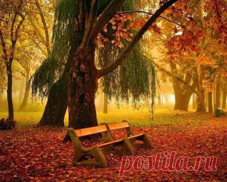 (111) İlginç Paylaşımlar