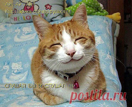 ДОВОЛЬНЫЙ КАК ТАНК!