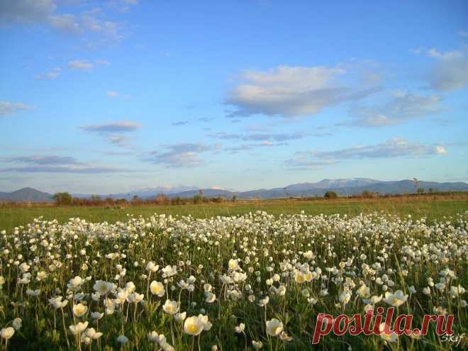 хакасия фотографии: 34 тыс изображений найдено в Яндекс.Картинках
