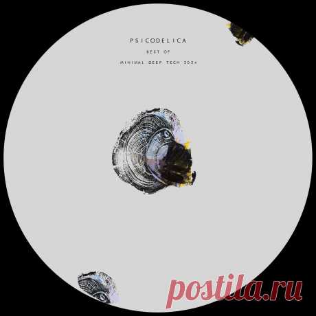 VA - Best Of Minimal Deep Tech 2024 PSL0534 » MinimalFreaks.co