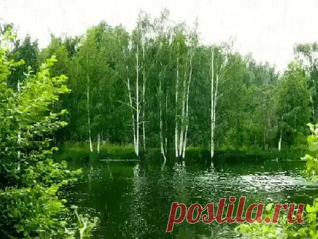 (53) Одноклассники