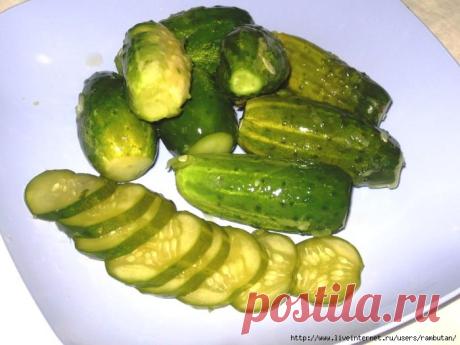 Огурцы в огурцах