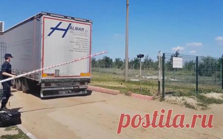 Саратовские пограничники обнаружили мигрантов в фуре с дынями. Пограничники в поселке Озинки Саратовской области задержали группу мигрантов, которых незаконно пытались ввезти на территорию России в грузовике с дынями.