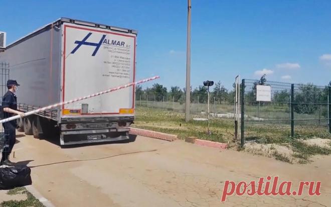 Саратовские пограничники обнаружили мигрантов в фуре с дынями. Пограничники в поселке Озинки Саратовской области задержали группу мигрантов, которых незаконно пытались ввезти на территорию России в грузовике с дынями.