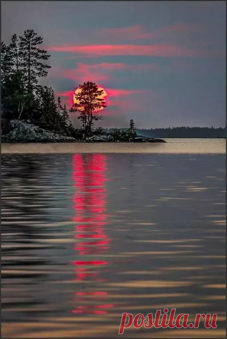 Google+