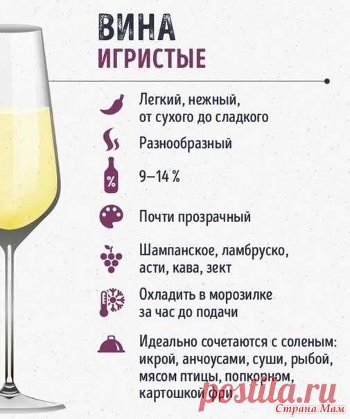 Вы не разбираетесь в винах? Тогда вам сюда! - Кладовая инета - Страна Мам