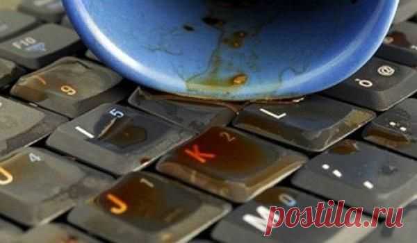 Устранить последствия потопа: что делать, если разлил чай на ноутбук
