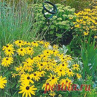 Какой стиль сада вам подходит? | Наш уютный дом