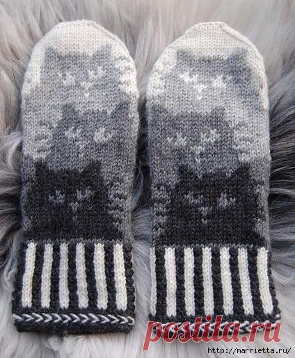 Жаккард с котятами. Схемы вязания