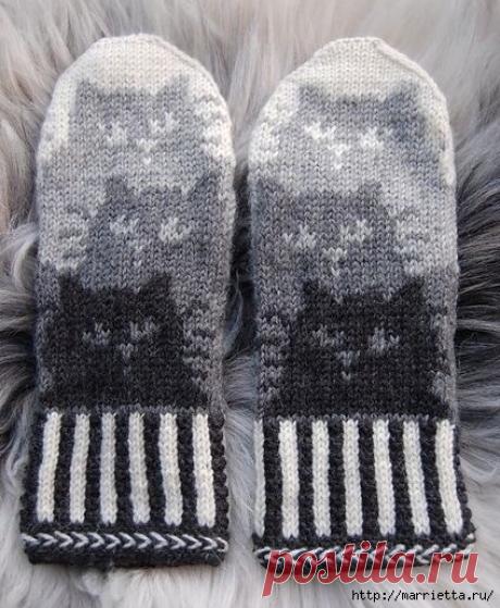 Жаккард с котятами. Схемы вязания