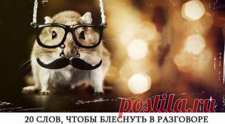 20 слов, которые нужно знать чтобы выглядеть умным в разговоре | Блогер bar_paly на сайте SPLETNIK.RU 12 апреля 2014 | СПЛЕТНИК