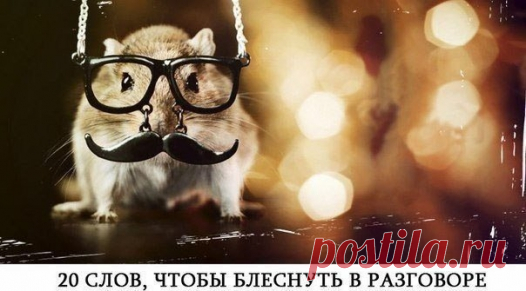 20 слов, которые нужно знать чтобы выглядеть умным в разговоре | Блогер bar_paly на сайте SPLETNIK.RU 12 апреля 2014 | СПЛЕТНИК