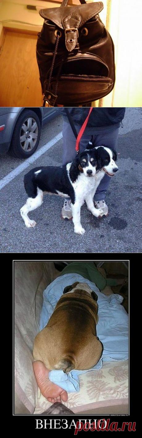 Забавный обман зрения / Писец - приколы интернета