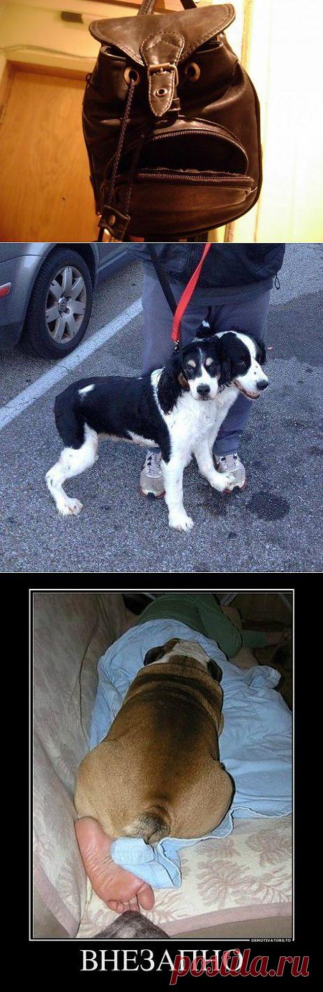 Забавный обман зрения / Писец - приколы интернета