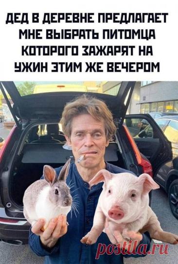 😂 Смешные мемы и фото приколы для самого отличного настроения
