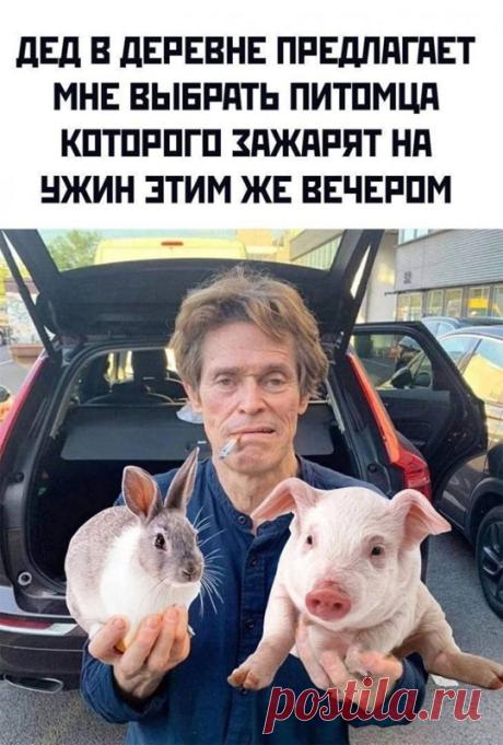 😂 Смешные мемы и фото приколы для самого отличного настроения