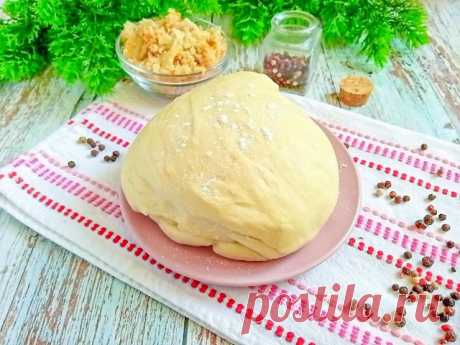 Тесто для беляшей на молоке рецепт с фото пошагово - 1000.menu