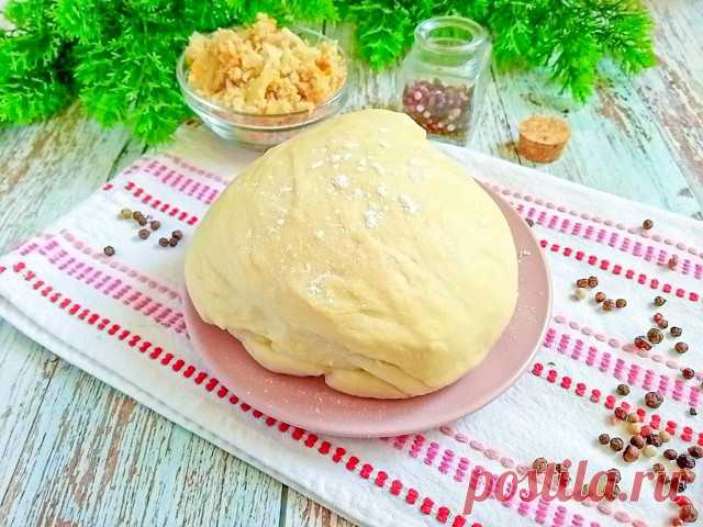 Тесто для беляшей на молоке рецепт с фото пошагово - 1000.menu