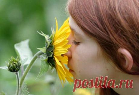 Не слышу аромат! Если потерялось обоняние: рецепты, как его восстановить. По просьбам подписчиков - Все обо Всем