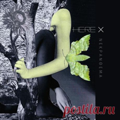 Here X - Nekranthema (2026) 320kbps / FLAC