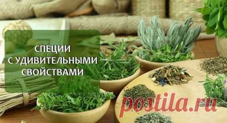 5 специй которые уничтожают бактерии и защищают клетки | Секреты.нет Теперь мы знаем, что травы и специи являются мощными антибиотиками, регулярно добавляя их в пищу в малых дозах мы можем повысить свою иммунную систему, снизить воспаление клеток и поддерживать оптимальный баланс между хорошими и плохими микробами в организме. Добавление большего количества специй к вашему рациону — один из способов увеличить количество полифенолов, мощных антиоксидантов, которые