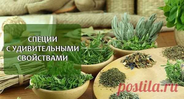5 специй которые уничтожают бактерии и защищают клетки | Секреты.нет Теперь мы знаем, что травы и специи являются мощными антибиотиками, регулярно добавляя их в пищу в малых дозах мы можем повысить свою иммунную систему, снизить воспаление клеток и поддерживать оптимальный баланс между хорошими и плохими микробами в организме. Добавление большего количества специй к вашему рациону — один из способов увеличить количество полифенолов, мощных антиоксидантов, которые