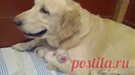 Позитив!
У  мамы  на ручках... мамы они такие ))) ПОСТАВЬТЕ  МАМОЧКЕ  И ЕЕ ЛЮБИМЧИКУ МНОГО-МНОГО  КЛАССОВ , ЧТОБЫ  МНОГО ЛЮДЕЙ УВИДЕЛИ  ЭТО  ЧУДО !!!