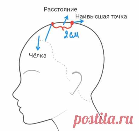 Как определить густоту волос для чёлки
Многие мамы и бабушки самостоятельно формируют чёлки своим девочкам. И моя мама так делала. Всё бы ничего, но с густотой чёлки часто возникают проблемы. По разным причинам у многих она получается густой, а у некоторых прямо от макушки.
Как правильно отделить чёлку от основной массы волос:
Необходимо найти наивысшую точку головы во фронтально-теменной зоне. Именно от неё все волосы распадаются по естественному ниспаданию, росту волос.
...