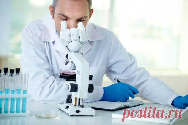 Главные симптомы лейкоза: признаки которые нельзя игнорировать